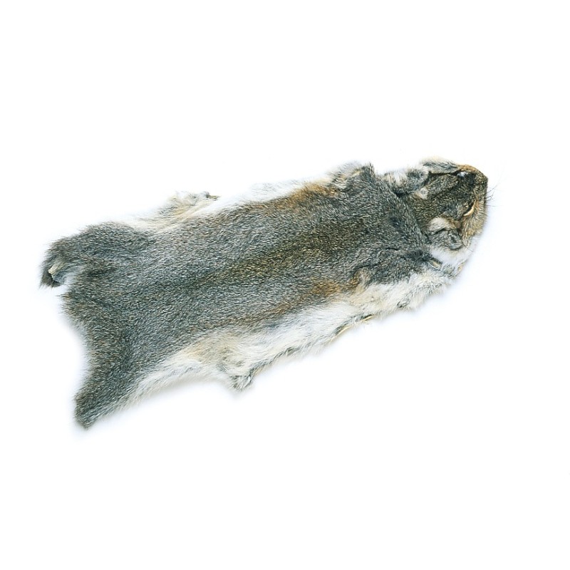 Peau d’écureuil gris