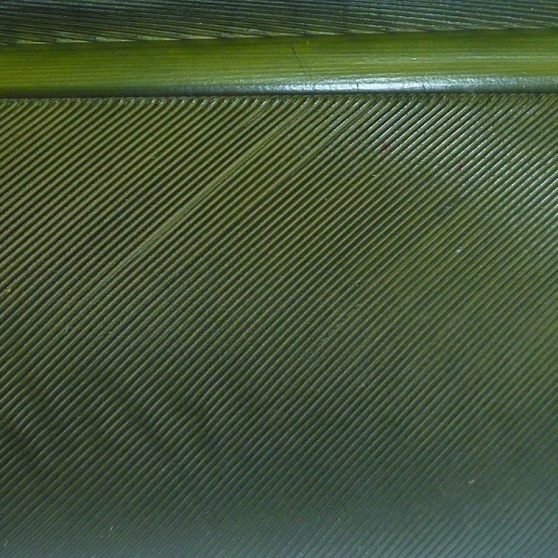 dinde dark olive dinde dark olive