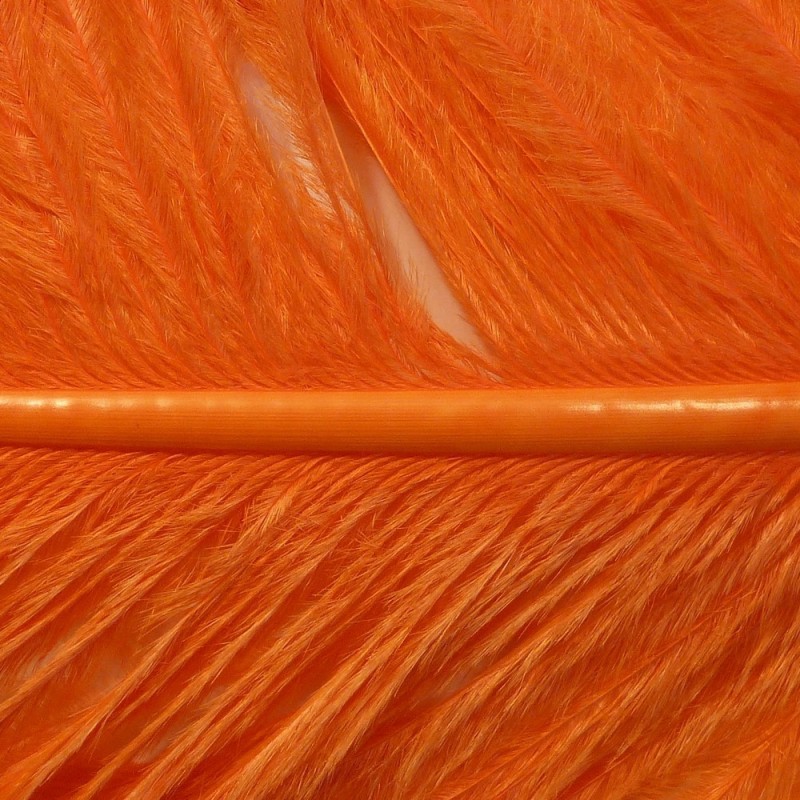 Autruche Orange Autruche Orange